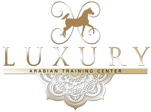 logo-luxury